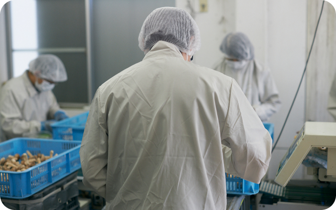 丁寧な仕分けから始まる、「おいしい」を届ける仕事