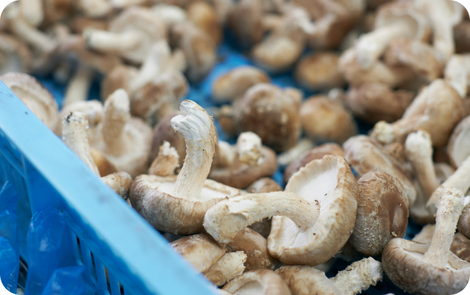 苦手を工夫に変えて。少しずつの成長が達成感になる