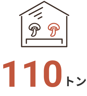 年間生産量110トン