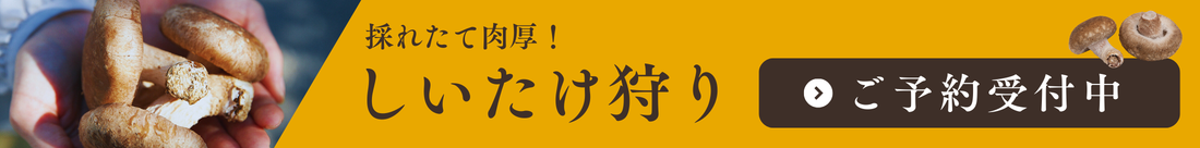 採れたて肉厚！しいたけ狩りご予約受付中