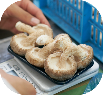 パック・袋詰め