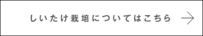 しいたけ栽培についてはこちら