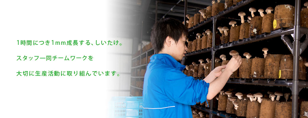 障害のある方が主役として働く場所。「アスタネ」で働きながら一般企業・団体などへの就職を目指しませんか？